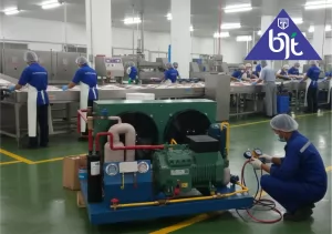 Efisiensi Energi Mesin CDU Cold  Storage dari BJT INDONESIA